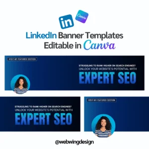 LinkedIn profile - BLUE COLOR